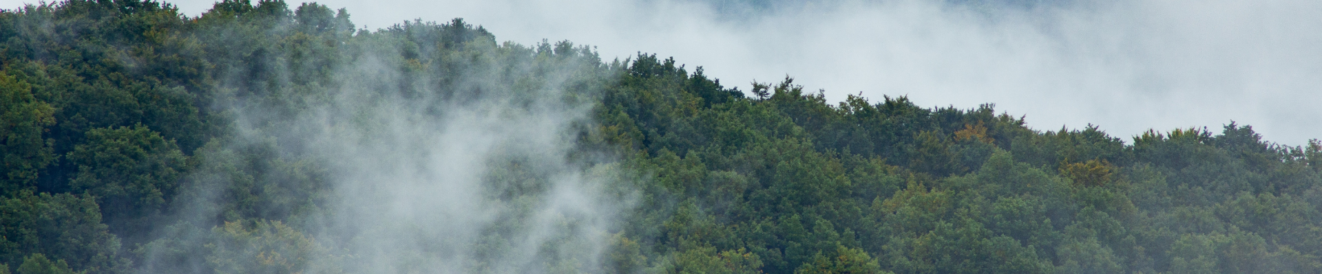 Smoky Mountain Fall Getaway