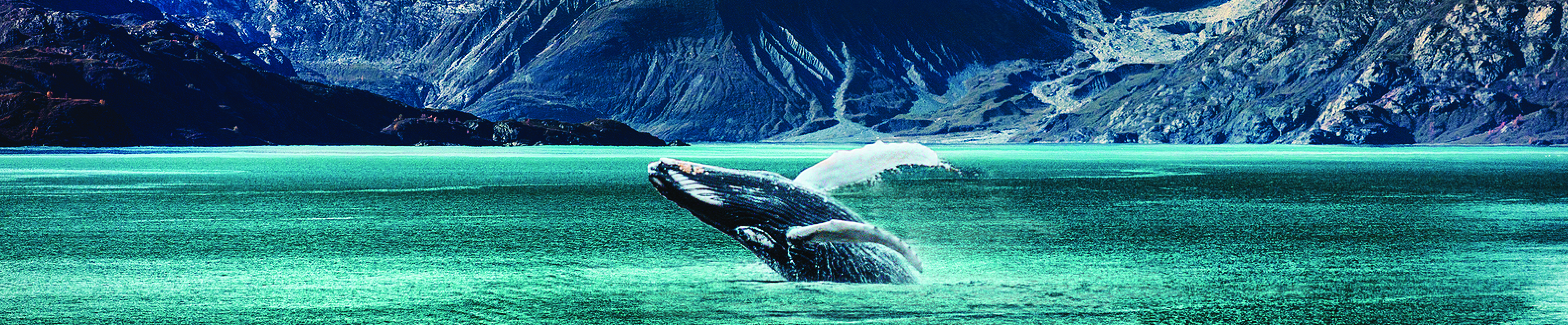 Ultimate Alaska Land & Cruise