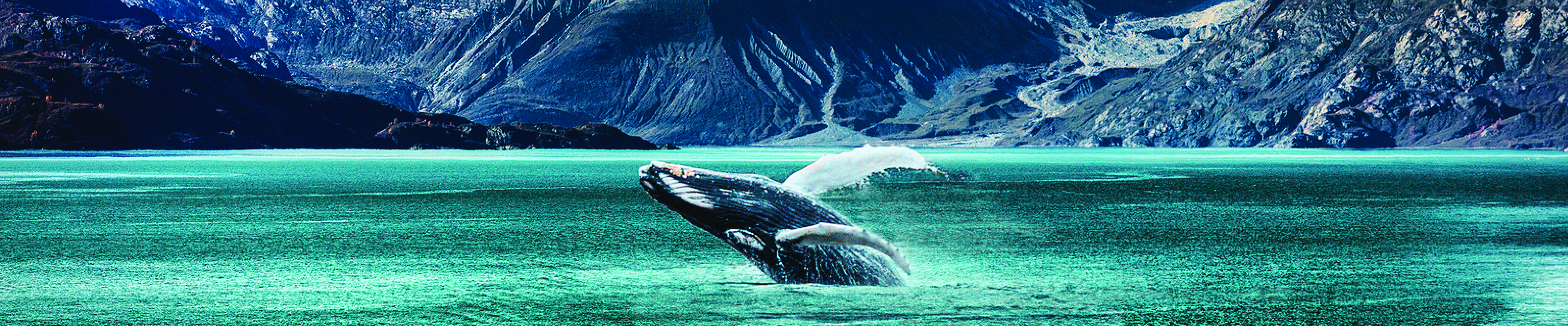 Alaska Land & Cruise