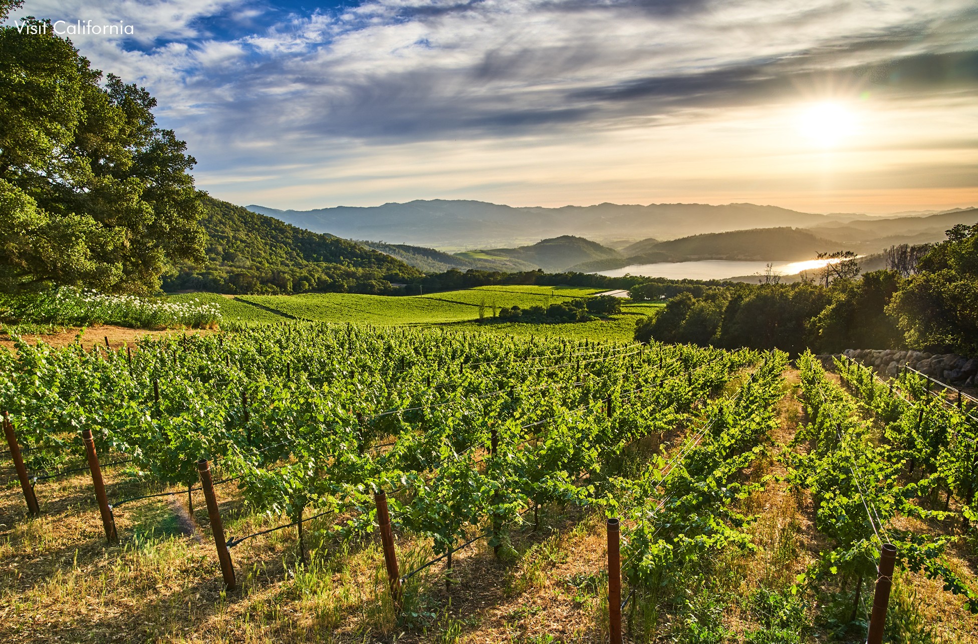 California Wine Country