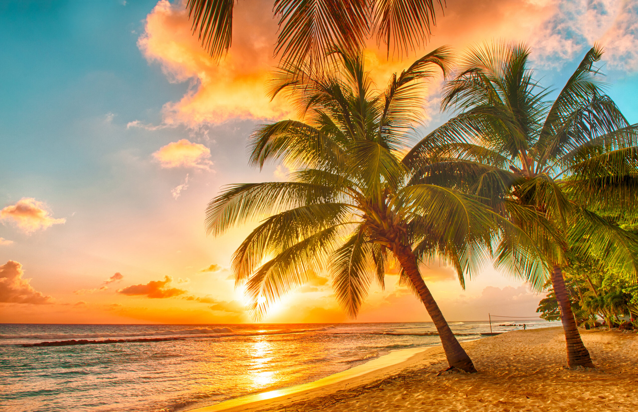 New Orleans & Caribbean Dreams